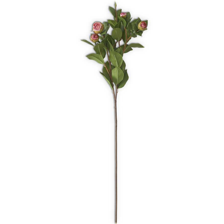 28 Inch Pink 5 Bud Peony Stem