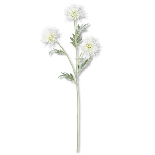 26 INCH 3 HEAD WHITE SPIKEY CACTUS DAHLIA STEM