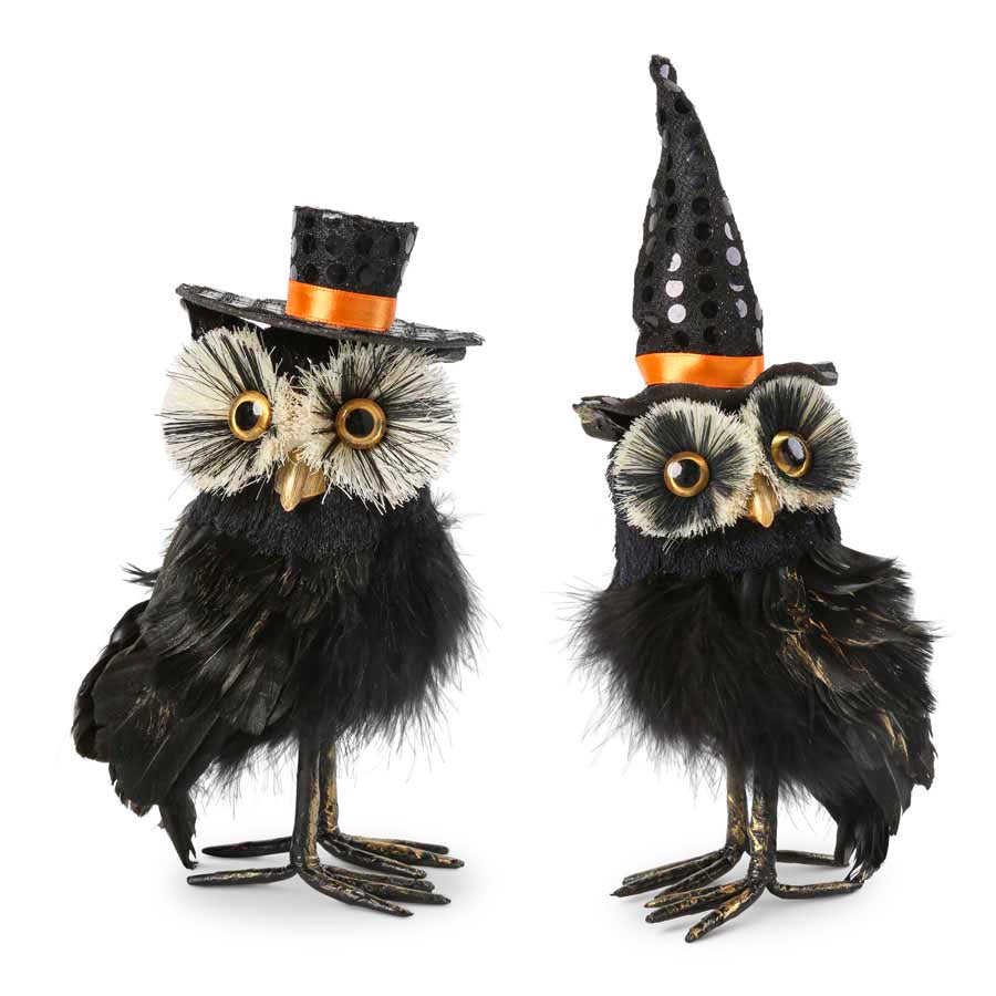 Assorted Black Feather Owls with Hats (Grad. Sizes)