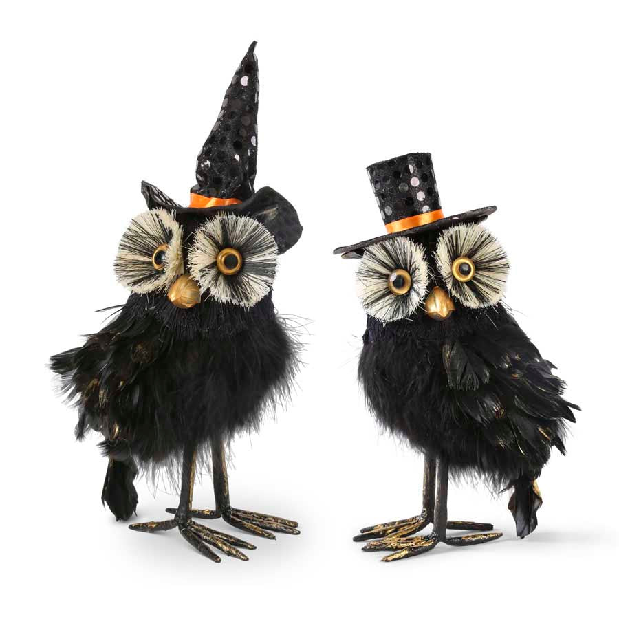 Assorted Black Feather Owls with Hats