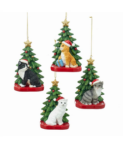 “Santa Cat” with Christmas Tree Ornament