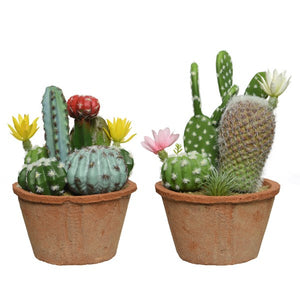 artificial cactus plants in pots Cactus in pot plastic 2ass – Ruta European Artistry