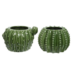 Pot porcelain cactus glazed 2ass