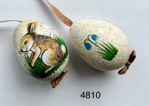 Peter's Hand Painted Egg from Austria 4810