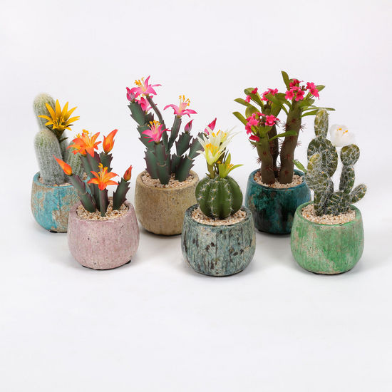 Flowering Cactus, 6 Asst, PVC/Stoneware, 10