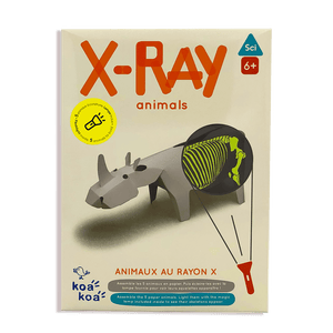 Koa Koa - X-Ray Animals
