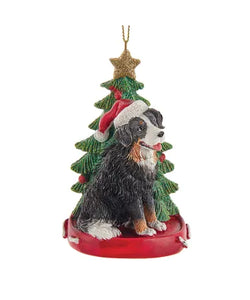 Bernese Mountain Dog With Christmas Tree Ornament For Personalization