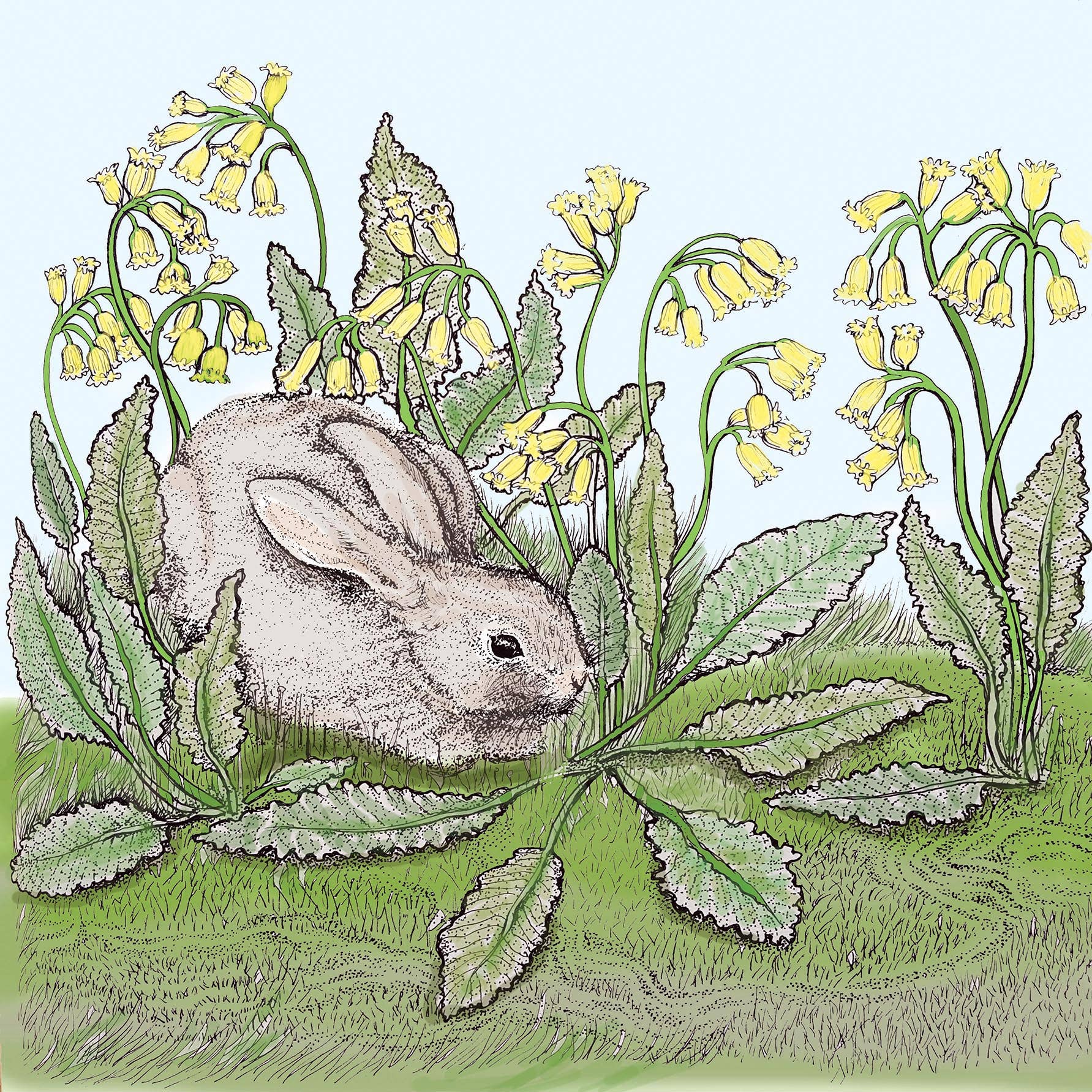 Rabbit and Cowslips Greeting Card
