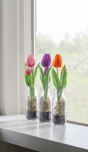 Tulips in Glass Bottle