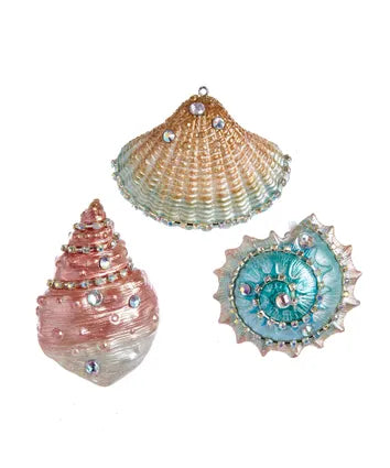 Seashell Ornament