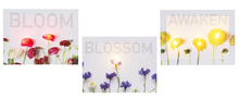 LED Light Up Floral Canvas/Easel Wall Decor